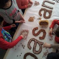 Projet école primaire Truyes - travail en cours